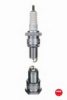 NGK 6248 Spark Plug